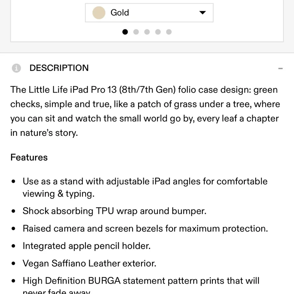 iPad Case 13